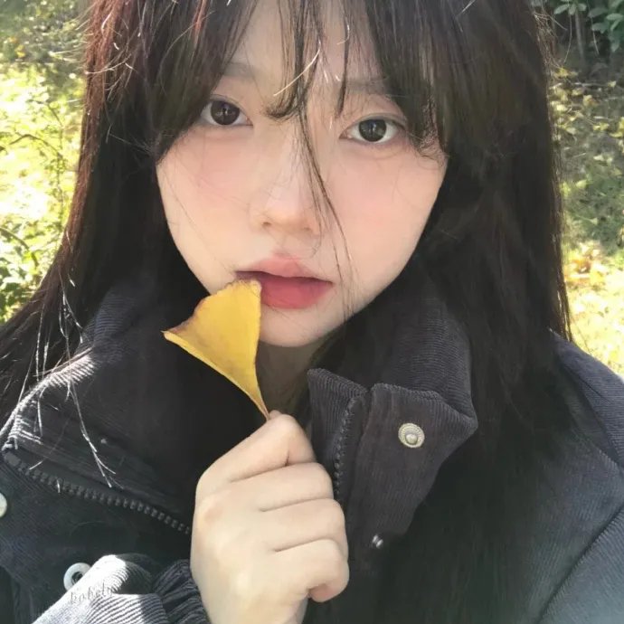 碧窗艳影海报